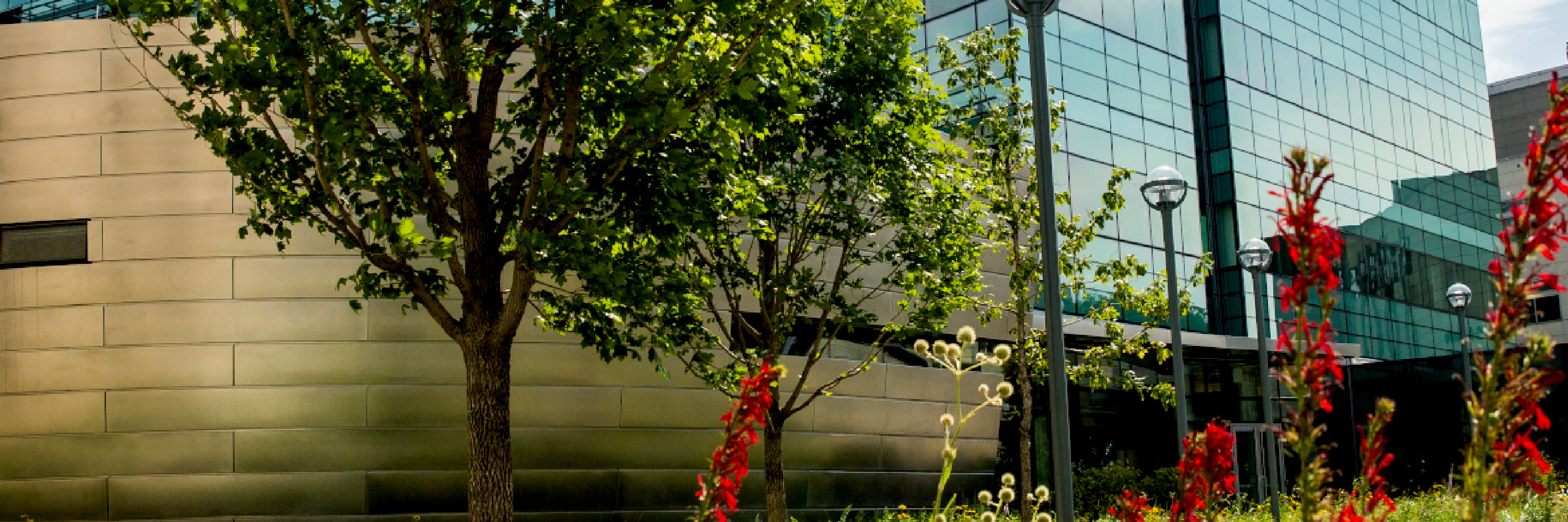 Loyola University Chicago Health Science Campus